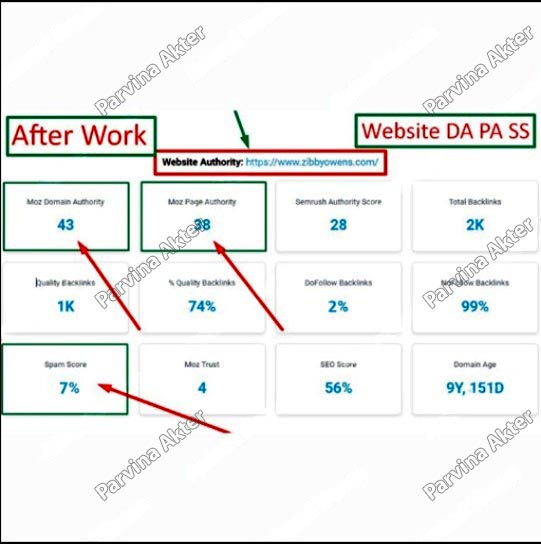 Website Seo